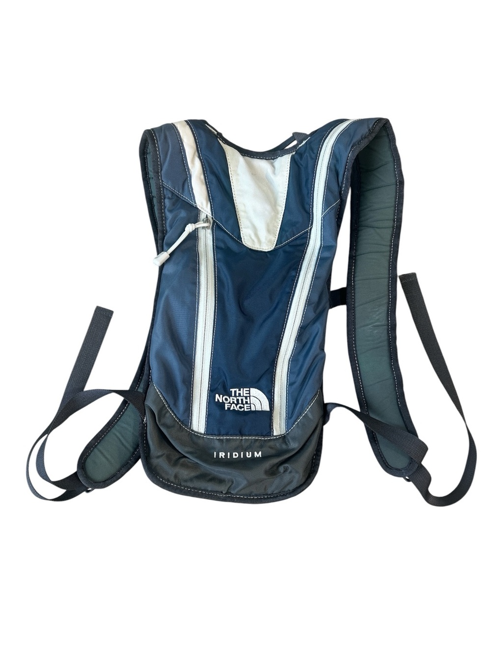 The North Face Hydration backpack